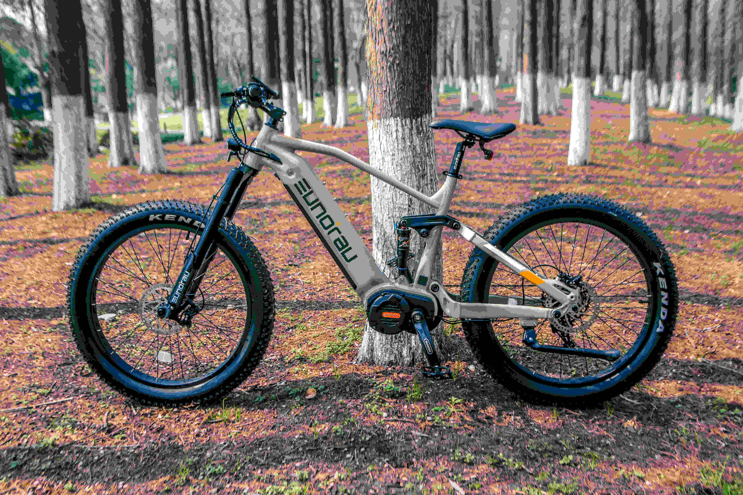 EUNORAU Specter-S 3.0 electric bike side profile parked in the woods with fat Kenda tires
