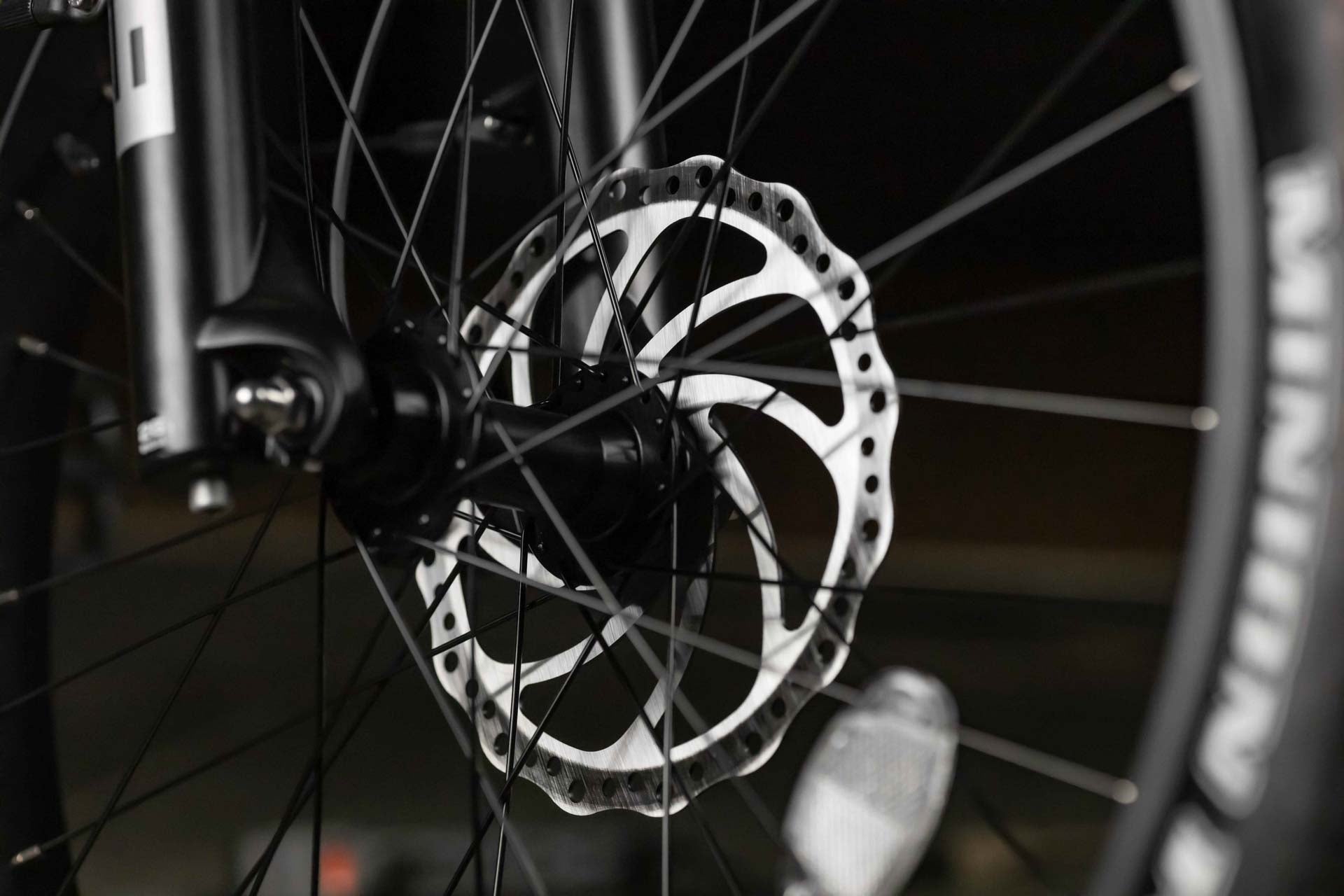 Close-up of a Rambo Bikes REBEL 2.0 Electric Bike wheel with focus on the hub